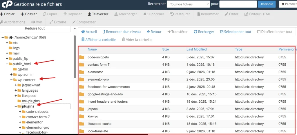 cPanel file manager showing WordPress wp-content plugins folder structure with red arrows highlighting key directories