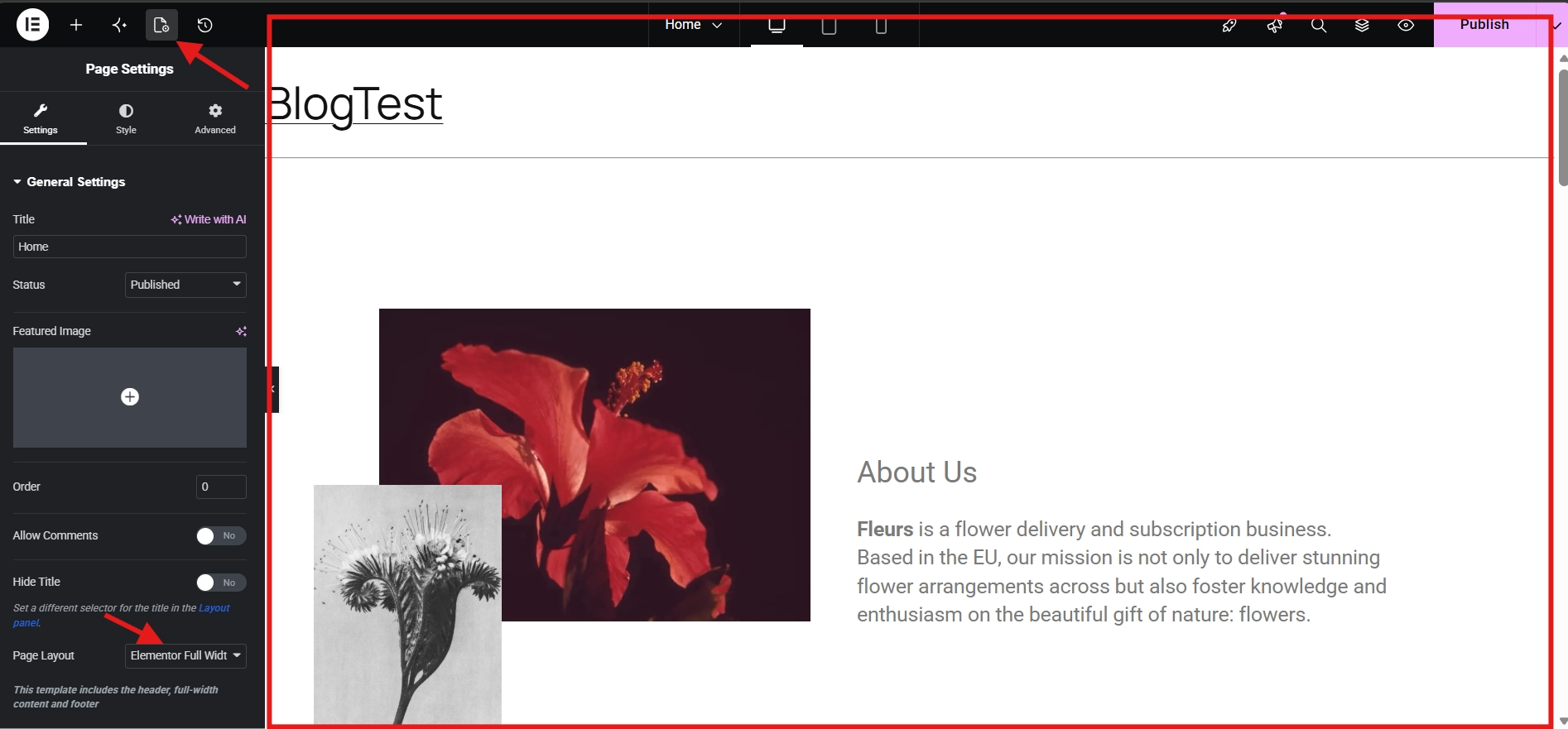 Elementor Full Width selected in Page Settings