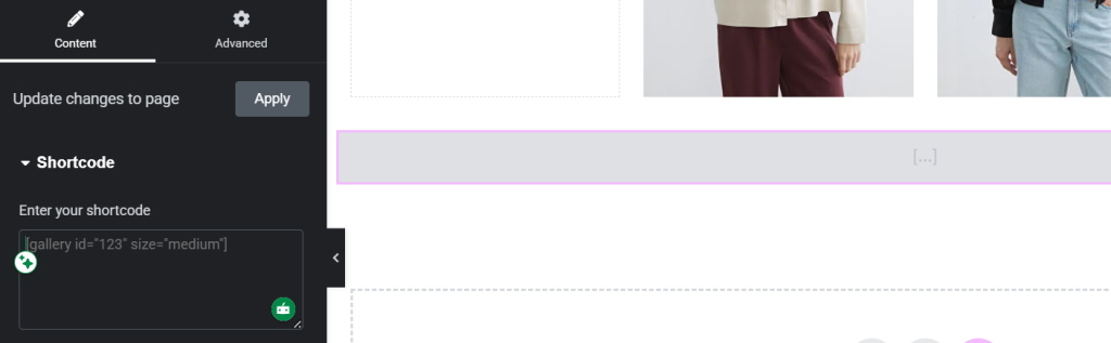 Elementor shortcode settings panel with shortcode input field open inside WordPress page builder