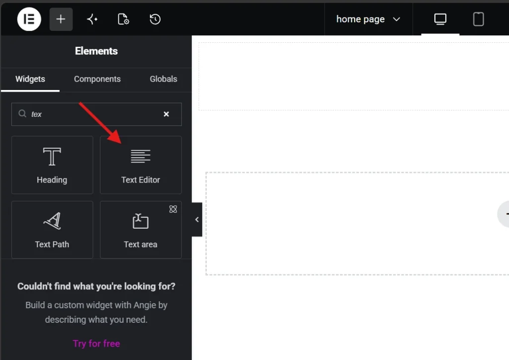 Elementor page builder showing Text Editor widget in the elements panel