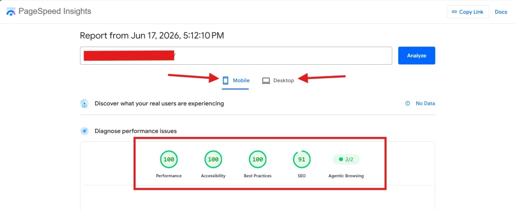 Google PageSpeed Insights report screenshot with perfect 100 scores for performance accessibility and best practices