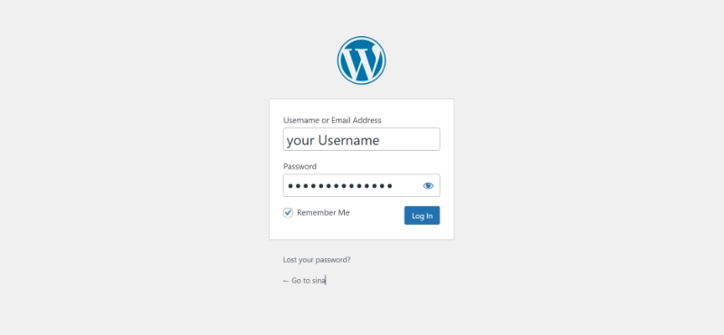 WordPress login screen screenshot showing username field with your Username and masked password