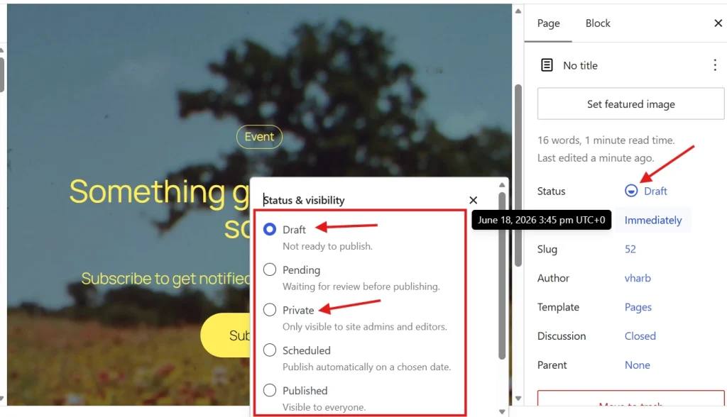 WordPress Gutenberg status and visibility panel open showing Draft and Private publishing options