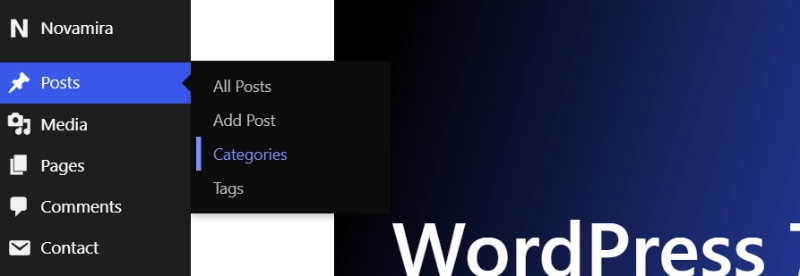 WordPress admin sidebar showing Posts menu expanded with Categories and Tags options highlighted