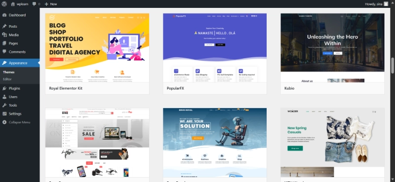 WordPress appearance dashboard showing active theme selection and customization options for site layout.