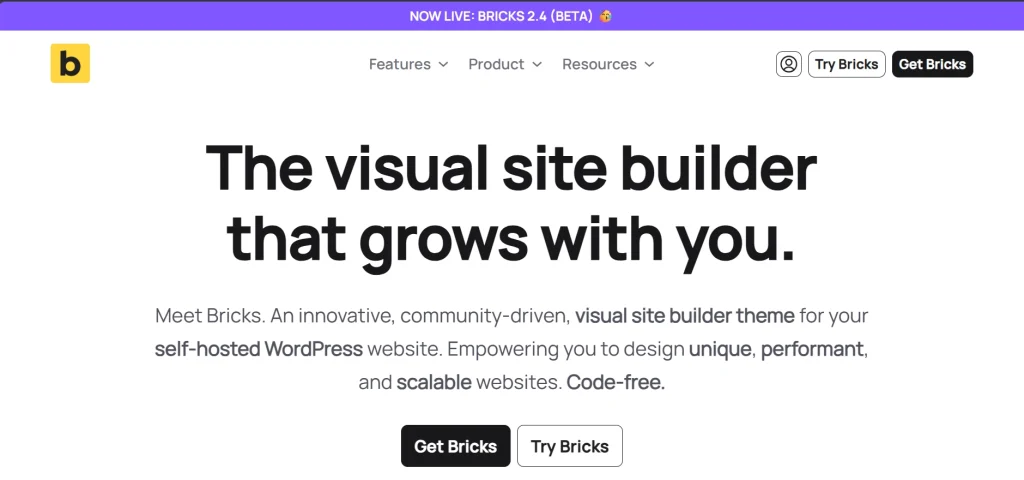 Bricks visual site builder homepage showcasing headline and call to action buttons for WordPress