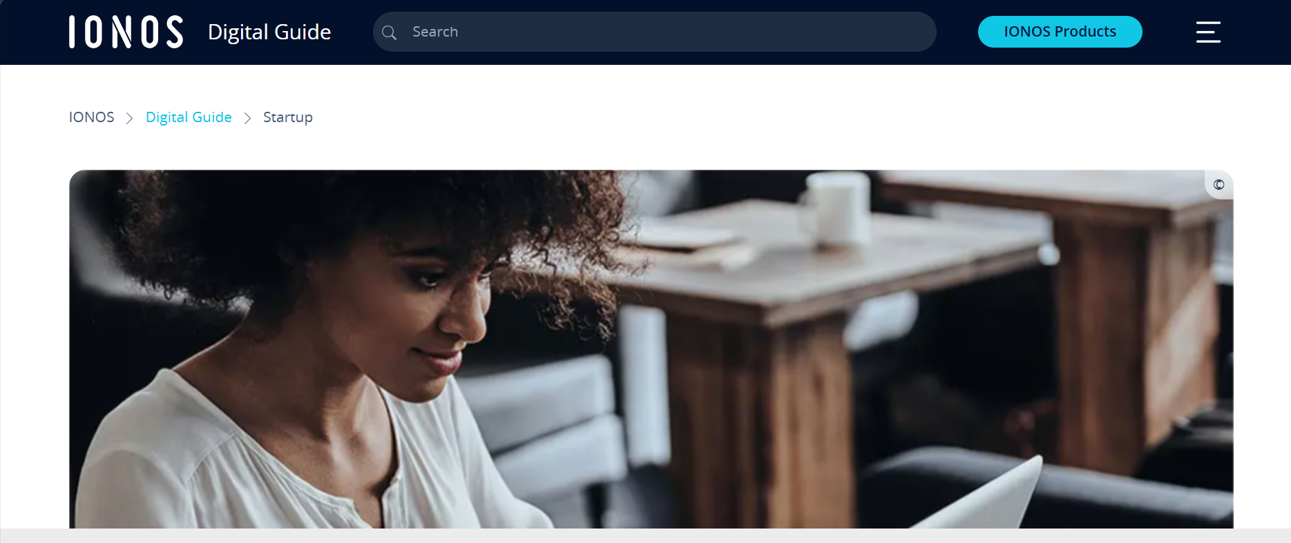 IONOS Digital Guide header with a person using a laptop